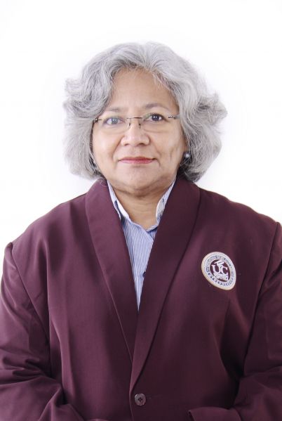 File:Profile Picture Juliuska Sahertian.jpg